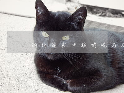 纳税逾期申报(纳税逾期申报超五年)