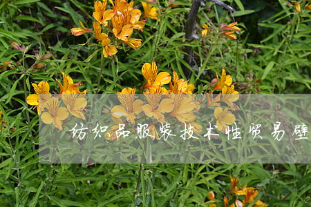 纺织品服装技术性贸易壁垒案例