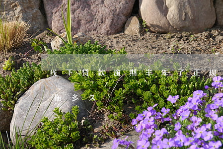 线下贷款逾期半年了(正规网上贷款逾期可以拖多久)