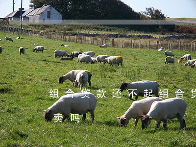 组合贷款还不起(组合贷款未还清的房子可以卖吗)