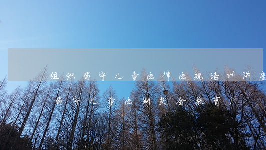 组织留守儿童法律法规培训讲座(如何加强留守儿童法制安全教育)