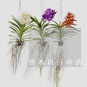 终本执行申请人不签字会怎样？