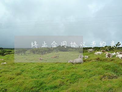 终止合同协议书的责任承担有哪些