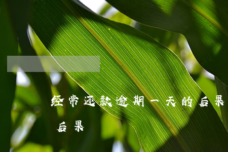 经常还款逾期一天的后果(逾期一个月还款的后果)