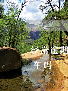 经常逾期还能贷款买车吗(有逾期还能贷款买车吗)