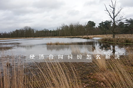 经济合同纠纷怎么解决