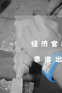 经济官司请律师怎么打(经济纠纷打官司律师费谁出)