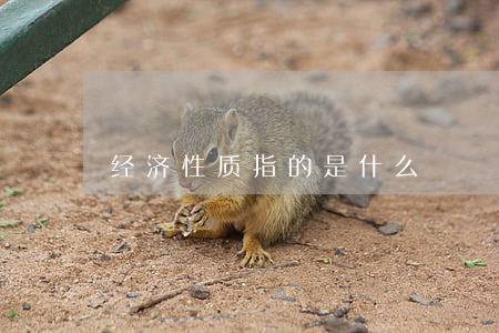 经济性质指的是什么