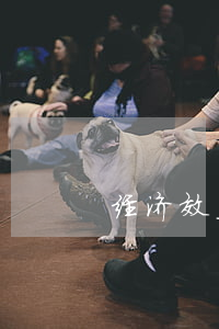 经济效益审计与其他审计的区别是什么