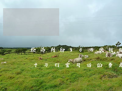 经济纠纷30万块钱起诉费多少(经济纠纷二十万打官司诉讼费是多少)