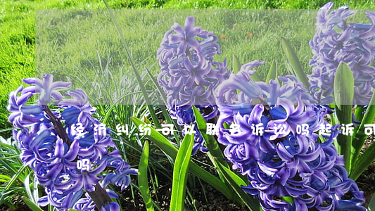 经济纠纷可以联名诉讼吗(起诉可以联名起诉吗)