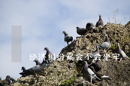 经济纠纷案会不会坐牢