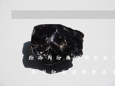 经济纠纷请律师费用一般是多少钱(一般的经济纠纷案律师费是多少)