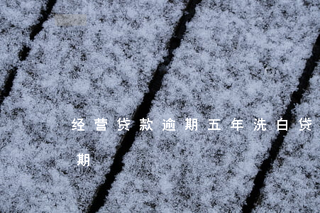 经营贷款逾期五年洗白(贷款公司倒闭导致逾期)