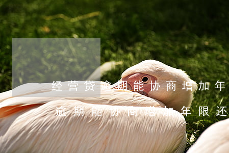 经营贷逾期能协商增加年限还款吗-经营贷逾期能协商增加年限还款吗怎么办