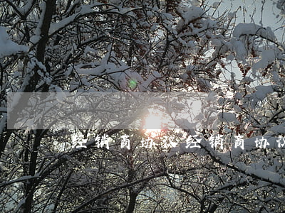 经销商协议(经销商协议纠纷判决书 网络平台)