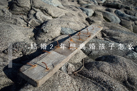 结婚2年想离婚孩子怎么办