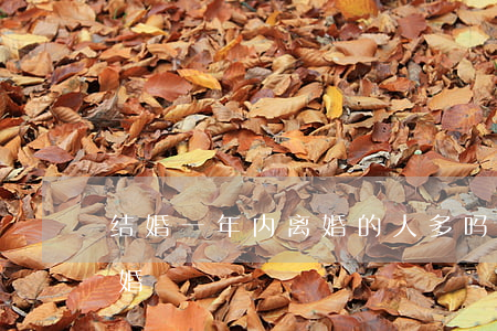 结婚一年内离婚的人多吗(结婚多少年容易离婚)