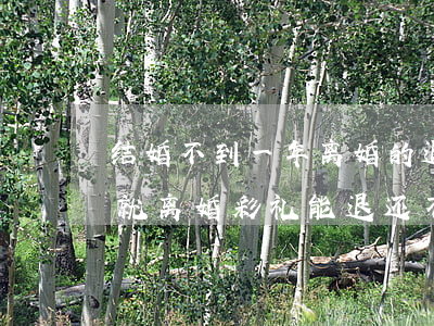 结婚不到一年离婚的退彩礼吗(结婚不到一年就离婚彩礼能退还不)