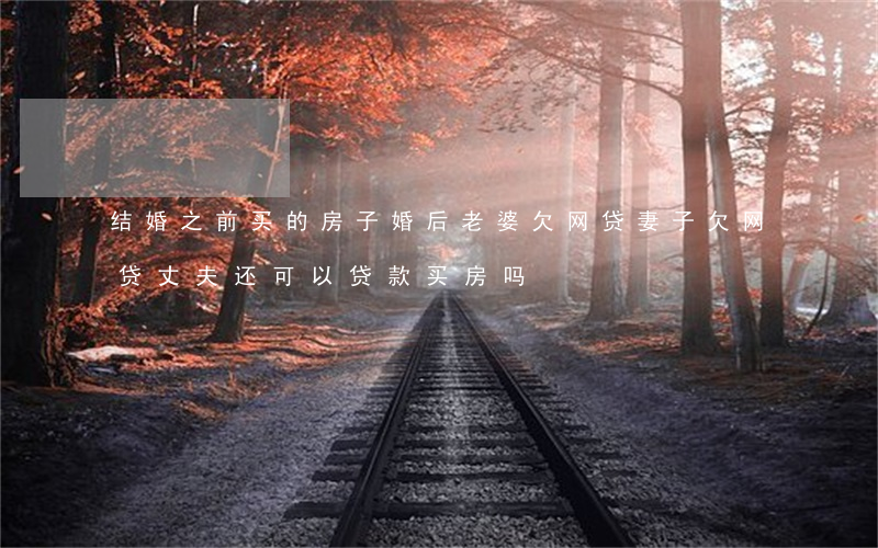 结婚之前买的房子婚后老婆欠网贷(妻子欠网贷,丈夫还可以贷款买房吗)