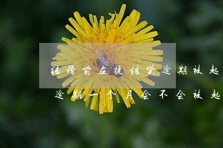 结婚前在捷信贷逾期被起诉了(捷信金融贷款逾期一个月会不会被起诉)