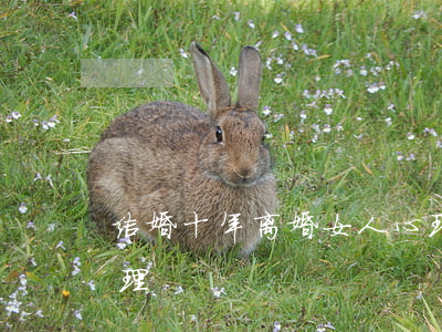 结婚十年离婚女人心理(结婚十年离婚女人心理)