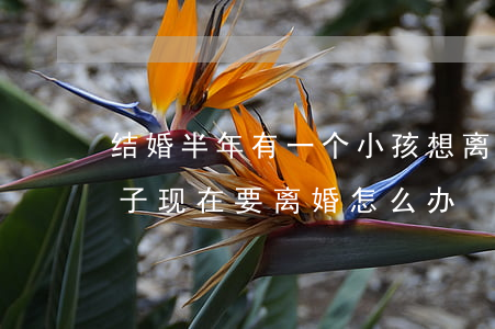 结婚半年有一个小孩想离婚(没结婚有两个孩子现在要离婚怎么办?)