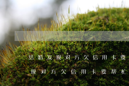 结婚发现对方欠信用卡要帮忙还么-结婚发现对方欠信用卡要帮忙还么