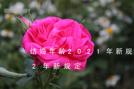 结婚年龄2021年新规定(结婚年龄2022年新规定)