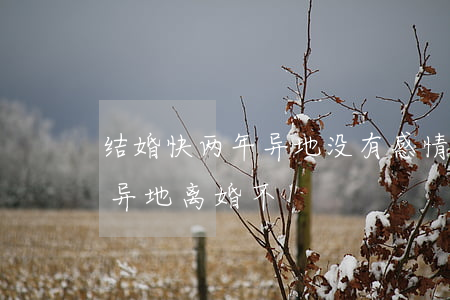 结婚快两年异地没有感情该离婚吗(现在可以异地离婚不)
