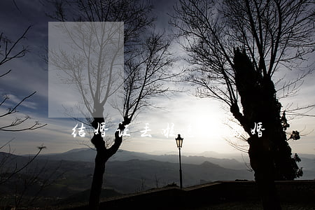 结婚证丢啦怎么离婚