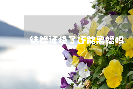 结婚证烧了还能离婚吗
