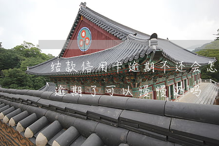 结款信用卡逾期不还会怎么样(欠信用卡的钱逾期了可以慢慢还吗)