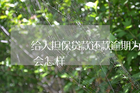 给人担保贷款还款逾期(为他人贷款担保逾期会怎样)