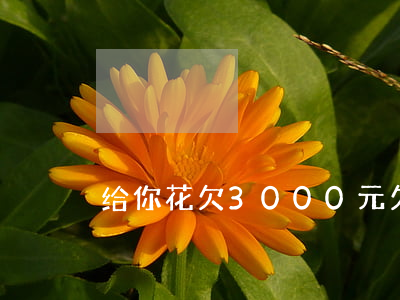给你花欠3000元(欠3000块钱)
