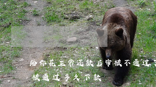 给你花正常还款后审核不通过了-给你花审核通过多久下款
