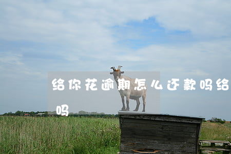 给你花逾期怎么还款吗(给你花逾期怎么还款吗)