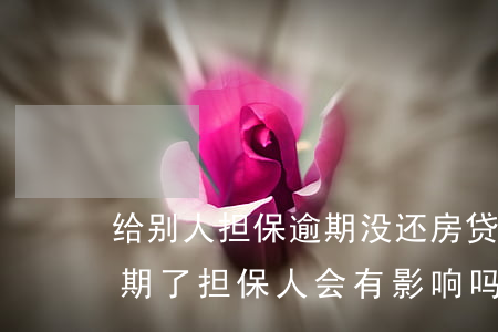给别人担保逾期没还房贷(如果贷款人还款逾期了 担保人会有影响吗)