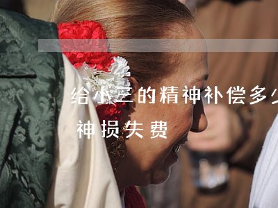 给小三的精神补偿多少(可不可以告小三要精神损失费)