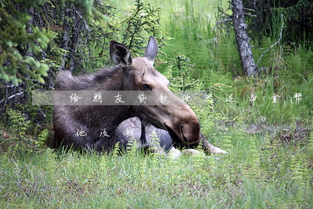 给朋友贷款他只还本金(帮一个朋友贷款,结果他没钱还)