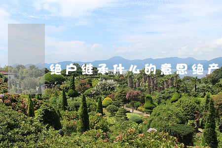 绝户继承什么的意思(绝产继承是什么意思)