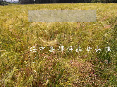 绥中县律师收费标准