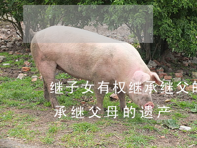 继子女有权继承继父的遗产吗(继子女可以继承继父母的遗产)