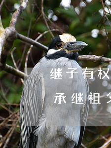 继子有权利继承继父的遗产吗(继子女可以继承继祖父母的遗产吗)