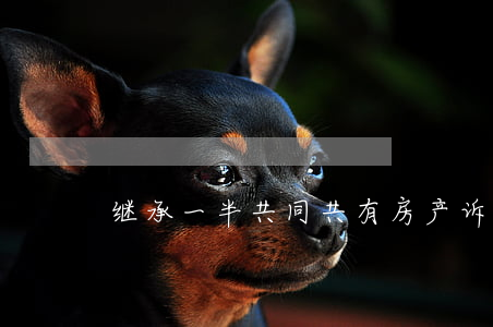 继承一半共同共有房产诉讼费要多少钱