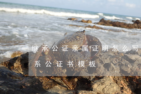 继承公证亲属证明怎么写(用于继承的亲属关系公证书模板)