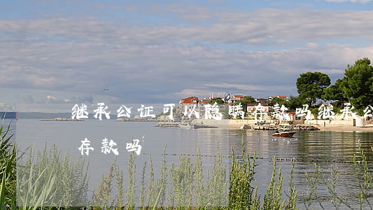 继承公证可以隐瞒存款吗(继承公证可以隐瞒存款吗)