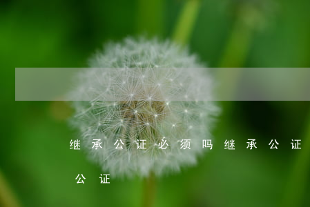继承公证必须吗(继承公证取消了为什么还要公证)