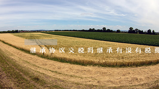 继承协议交税吗(继承有没有税费)