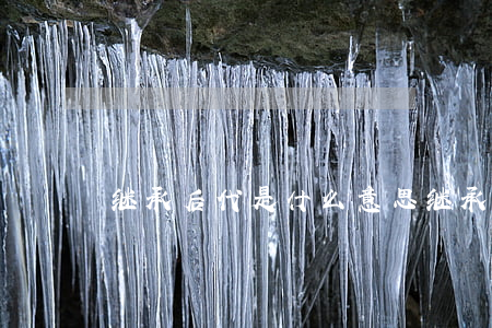 继承后代是什么意思(继承人是什么意思啊)